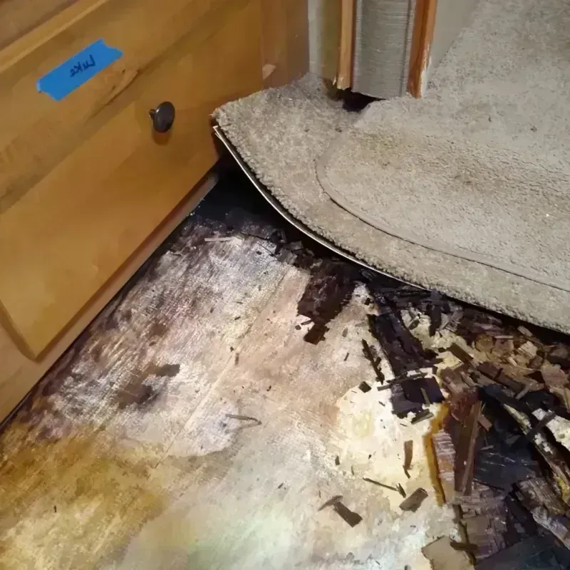 Wood Floor Water Damage in Elgin, SC